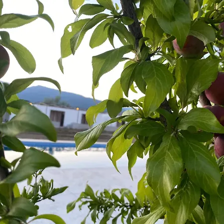 Casa Mora Zeytinli Bed & Breakfast Edremit (Balikesir)